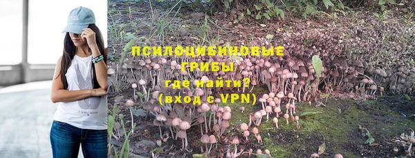 мяу мяу мука Лабытнанги