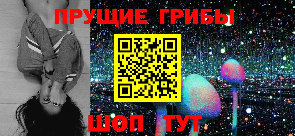 Псилоцибиновые грибы GOLDEN TEACHER  Вход с VPN  Лосино-Петровский 