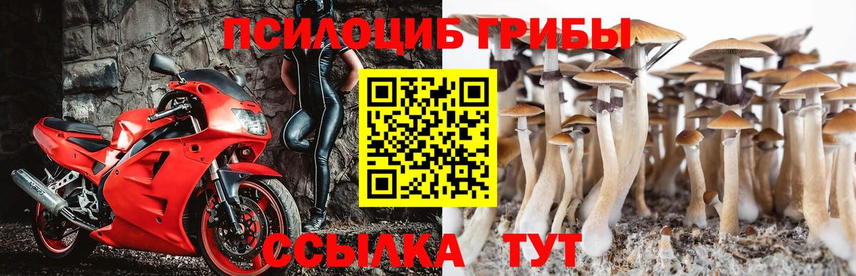 Псилоцибиновые грибы Psilocybine cubensis Лосино-Петровский
